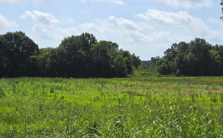 1101 Gallet Rd, Youngsville
