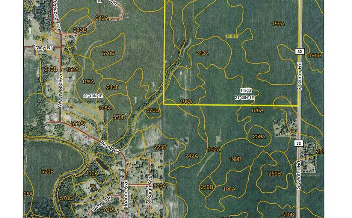 Pictures of Land property located at 000 Center Rd, Rochelle, IL 61068 for sales - image #1