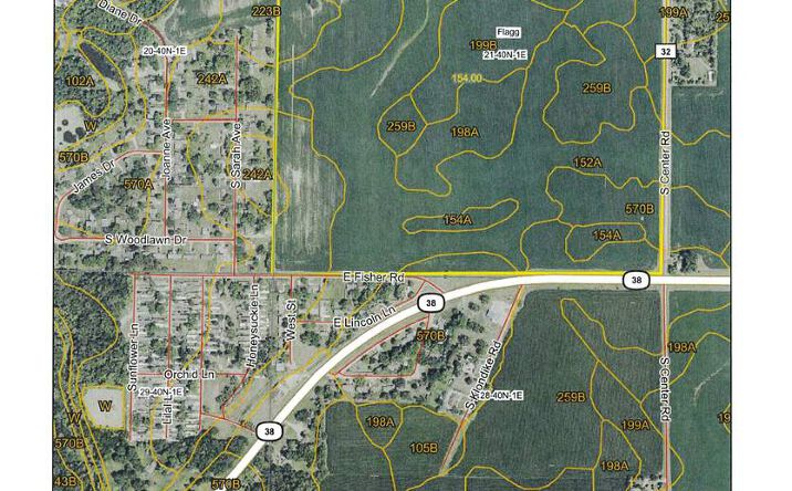 Pictures of Land property located at 000 Rt 38, Rochelle, IL 61068 for sales - image #1