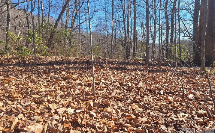 Pictures of Land property located at 965 Wolf Pen Road, Old Fort, NC 28762 for sales - image #1