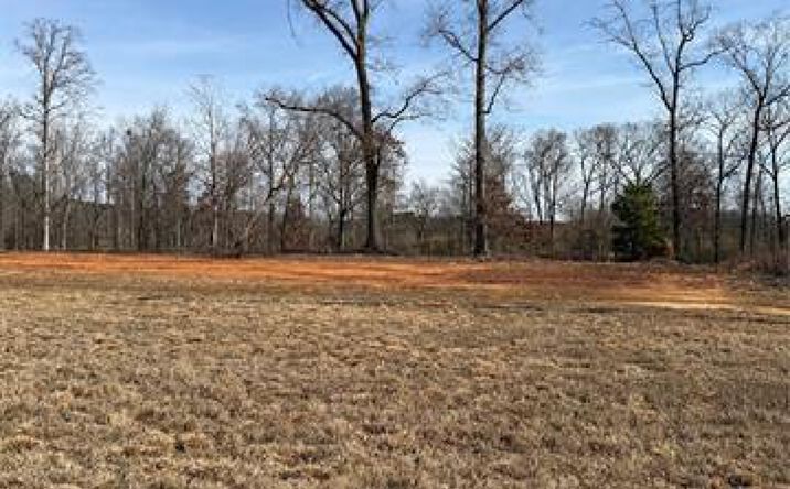 Pictures of Land property located at 2517 Plyler Mill RD, Monroe, NC 28112 for sales - image #1