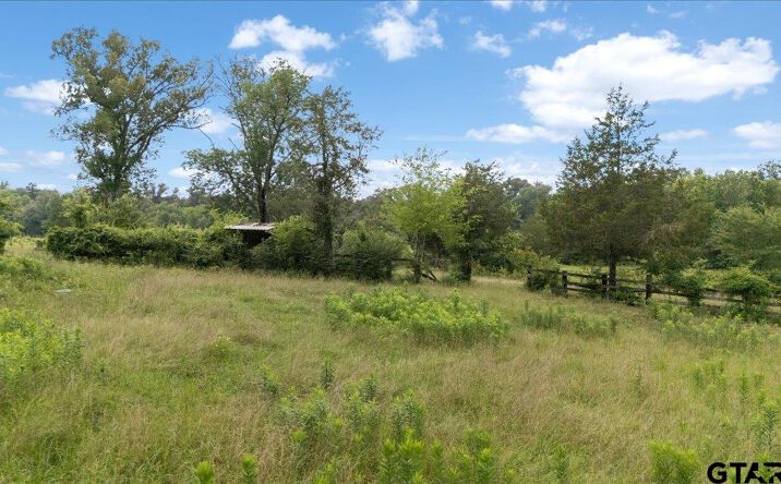Pictures of Retail, Land property located at 21675 Highway 110 N, Troup, TX 75789 for sales - image #1