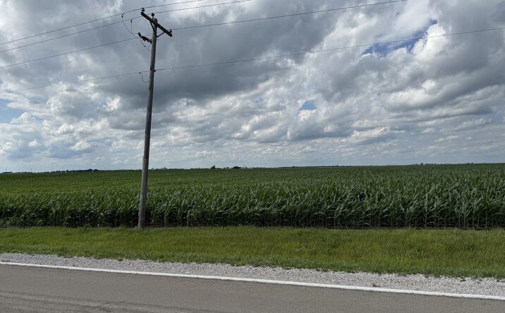 Pictures of Land property located at 000 N 17th Road, Tonica, IL 61370 for sales - image #1