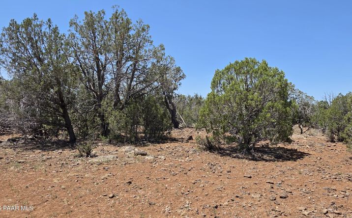 1026 S2 Arco Pipeline, Seligman