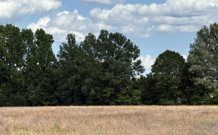 Pictures of Land, Special Purpose, Multifamily property located at Tbd Liberty Hill Road, Summerton, SC 29148 for sales - image #1