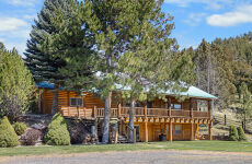 33879382