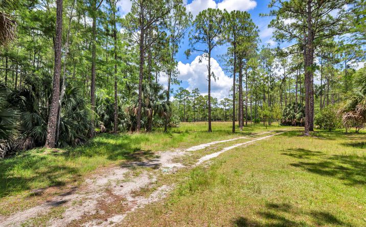 Pictures of Land property located at 00000 Caloosa Boulevard, West Palm Beach, FL 33418 for sales - image #1