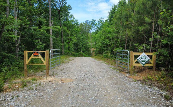 Pictures of Land property located at Rains Creek, Gruetli-Laager, TN 37339 for sales - image #1