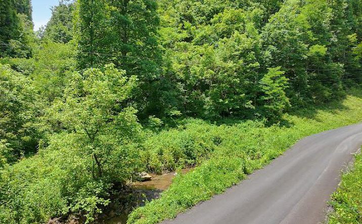 Pictures of Land, Multifamily property located at TBD Heralds Valley Road, Castlewood, VA 24224 for sales - image #1