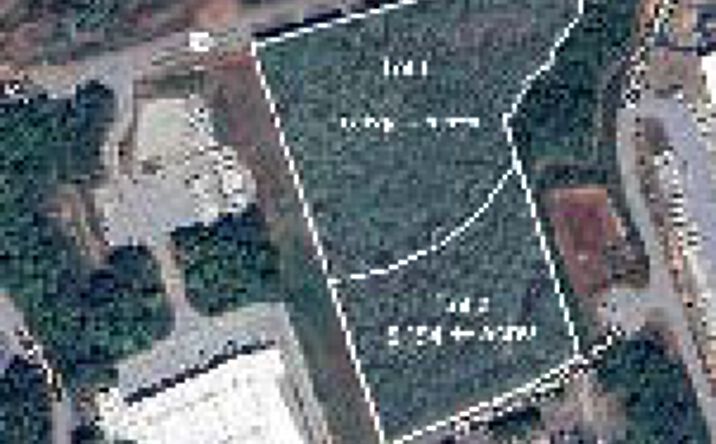 Pictures of Land property located at 436 Braselton Industrial Blvd, Braselton, GA 30517 for sales - image #1