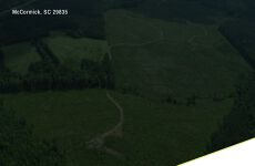 33889985