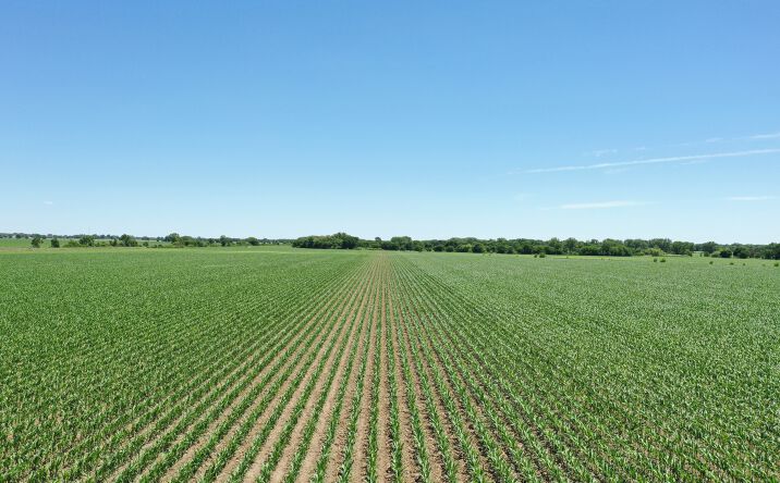 Pictures of Land property located at 5817 Sioux Road, Shelton, NE 68876 for sales - image #1
