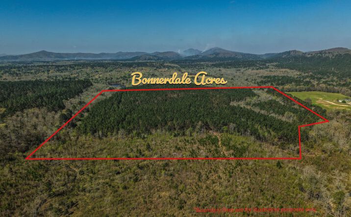 Off Campbell Road, Bonnerdale