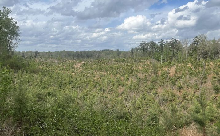 County Rd 78, Carrollton