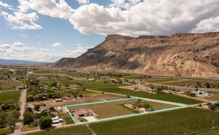 Pictures of Land property located at 759 36 3/10 RD, PALISADE, CO 81526 for sales - image #1