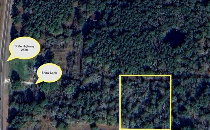 Pictures of Land property located at TBD Archie Rd, Huntsville, TX 77320 for sales - image #1
