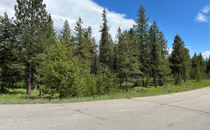 Pictures of Land property located at NHN Lot 42 Loon Connector Road, LIBBY, MT 59923 for sales - image #1