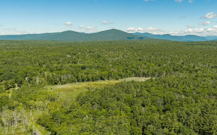 Pictures of Land property located at TBD Buck Road, Stone Ridge, NY 12484 for sales - image #1