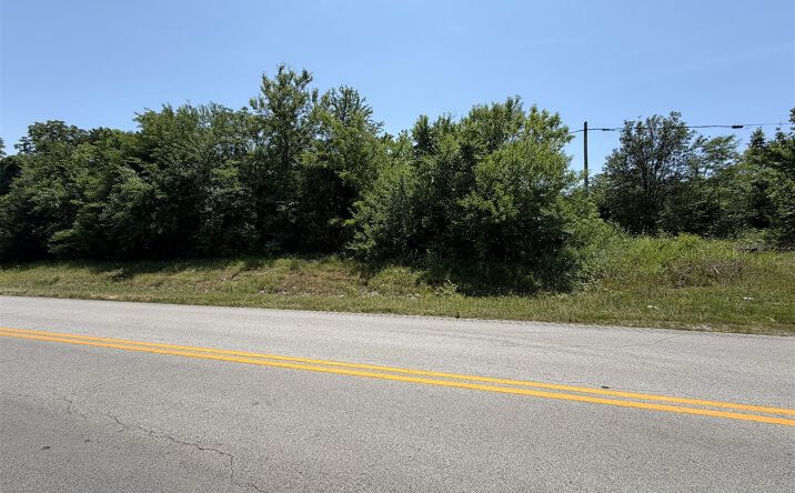 Pictures of Land property located at Tract 1 Glen Lily Road, Bowling Green, KY 42101 for sales - image #1
