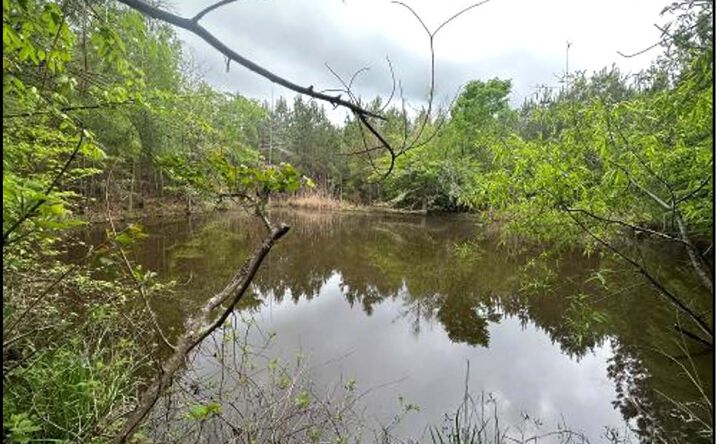 53.2 Acres, Mendenhall
