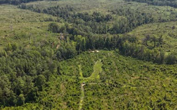 331.4 Acres in Carroll, Greenville
