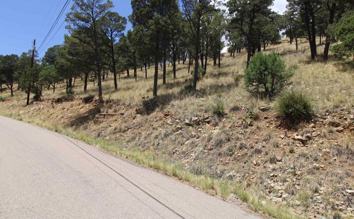 Pictures of Land property located at 105 & 107 Valley View Drive, Ruidoso, NM 88345 for sales - image #1