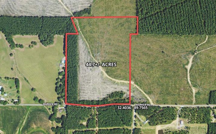 44.7 Acres in Rankin County, Pelahatchie
