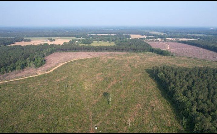 32.3 Acres in Rankin County, Pelahatchie