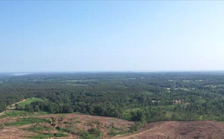 Pictures of Land property located at 57.4 Acres in Lafayette County, Oxford, MS 38655 for sales - image #1