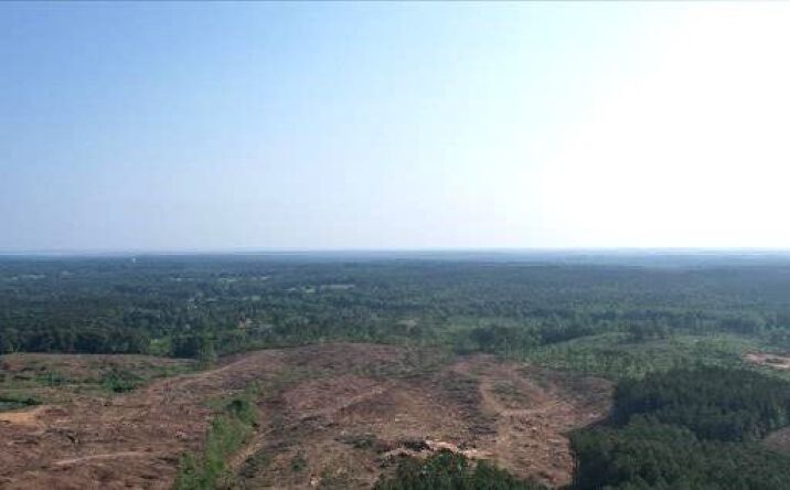 Pictures of Land property located at Oxford, Mississippi 38655, Oxford, MS 38655 for sales - image #1
