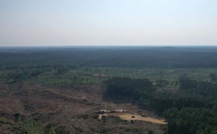 Pictures of Land property located at 25.3 Acres in Lafayette County, Oxford, MS 38655 for sales - image #1
