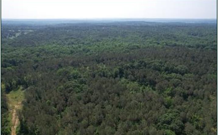 Pictures of Land property located at CR 323, Taylor, MS, Oxford, MS 38655 for sales - image #1