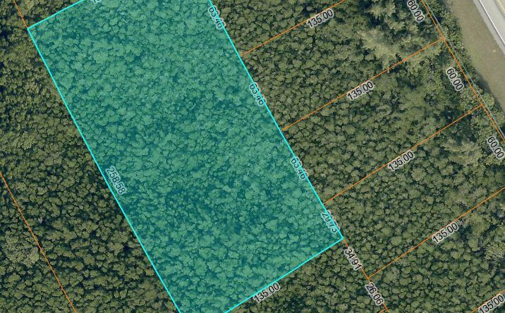 Pictures of Land property located at 0 S Ocean Drive, Fort Pierce, FL 34949 for sales - image #1