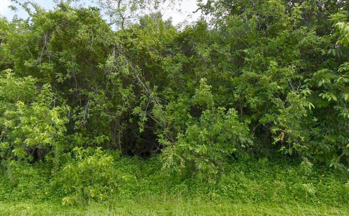 Pictures of Land property located at 1081 SW Dartmouth Avenue SW, Port St. Lucie, FL 34953 for sales - image #1