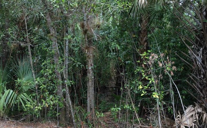 Pictures of Land property located at 1802 Old River Road, Fort Pierce, FL 34982 for sales - image #1