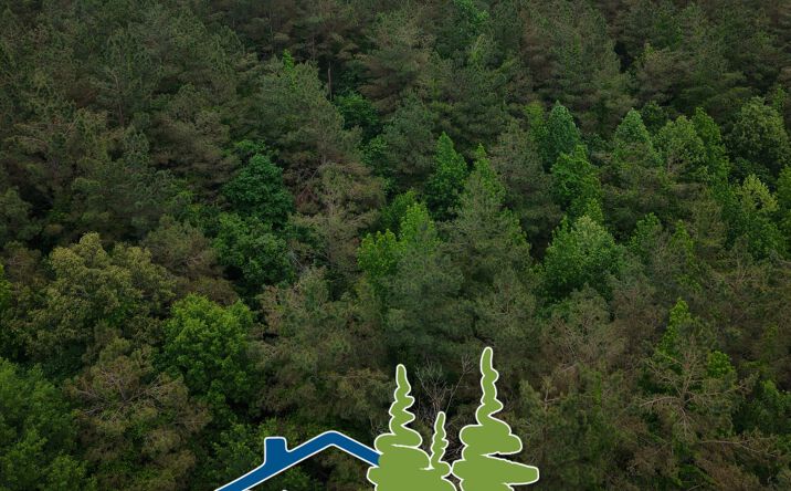 South of Grenada Lake, North of Gore Springs Community, Grenada
