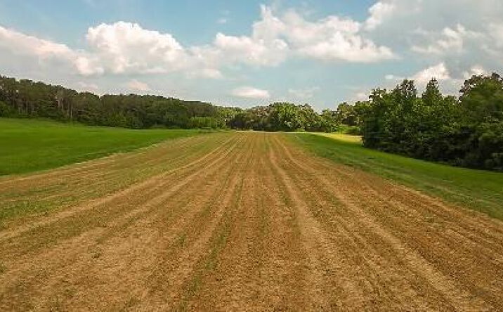 Bush Road, Lexington