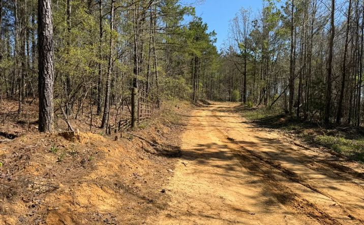 County Road 5102, Goodman
