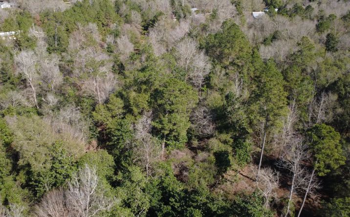 Pictures of Land property located at McGehee Road, Bogalusa, LA 70427 for sales - image #1