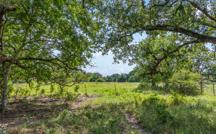 Pictures of Land property located at TBD North Dowling Road, College Station, TX 77845 for sales - image #1
