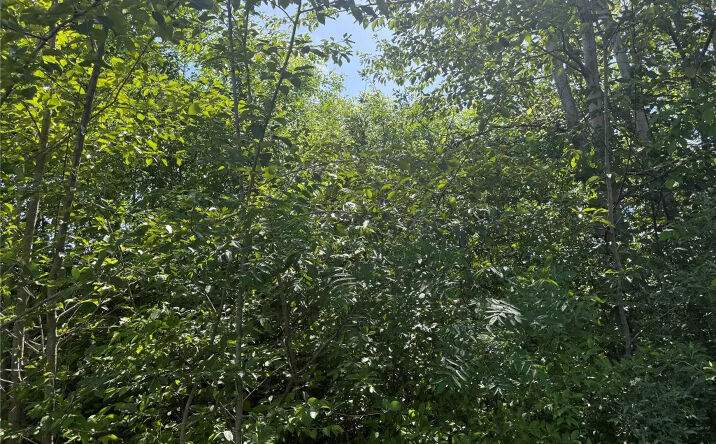 Pictures of Land property located at Tbd Hawleys Corners Road, Highland, NY 12528 for sales - image #1