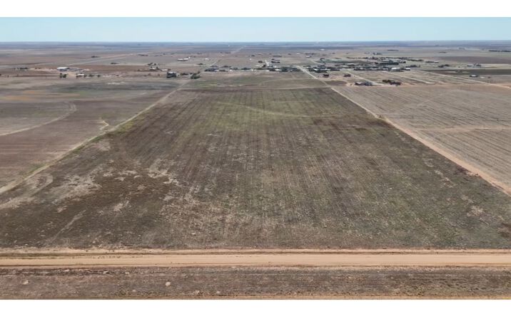 Pictures of Retail, Land property located at 11 County Road 11, Tahoka, TX 79373 for sales - image #1
