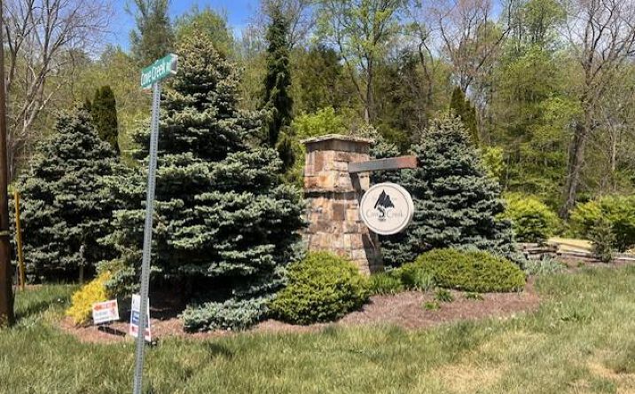 Pictures of Land, Multifamily property located at LOT 12 Cove Creek, Bastian, VA 24314 for sales - image #1