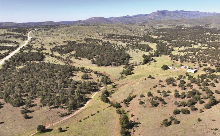 Pictures of Land property located at N/A, Capitan, NM 00000 for sales - image #1