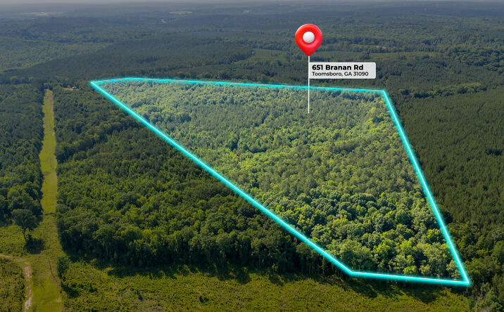 Pictures of Land property located at Branan Road, Toomsboro, GA 31090 for sales - image #1