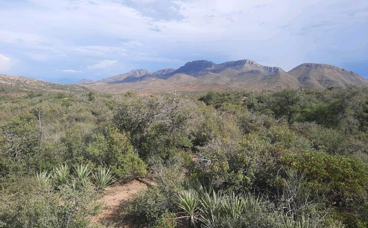 Pictures of Land property located at 1XX N CHICORY LN, EL CAPITAN, AZ 85501 for sales - image #1