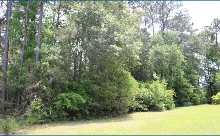 Pictures of Land property located at Pinewood Road, Bogalusa, LA 70427 for sales - image #1