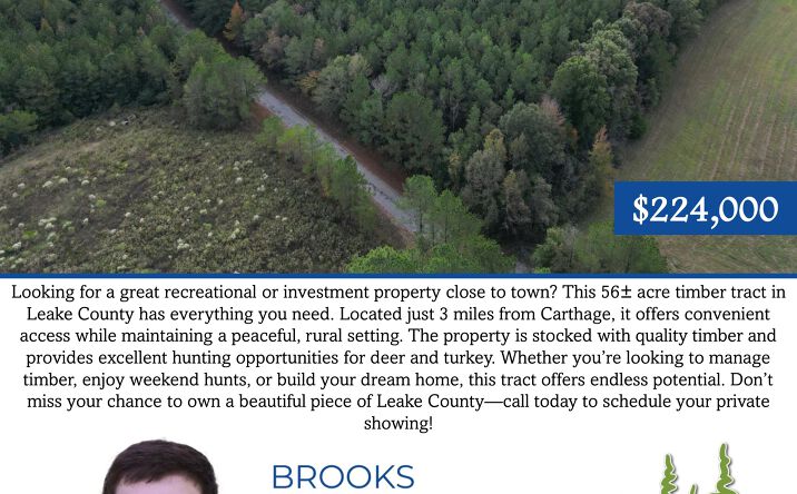 Pictures of Land property located at Red Water Road, Carthage, MS 39051 for sales - image #1