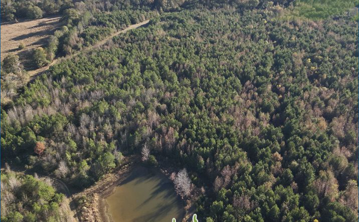 263 Acres in Hinds County, Crystal Springs