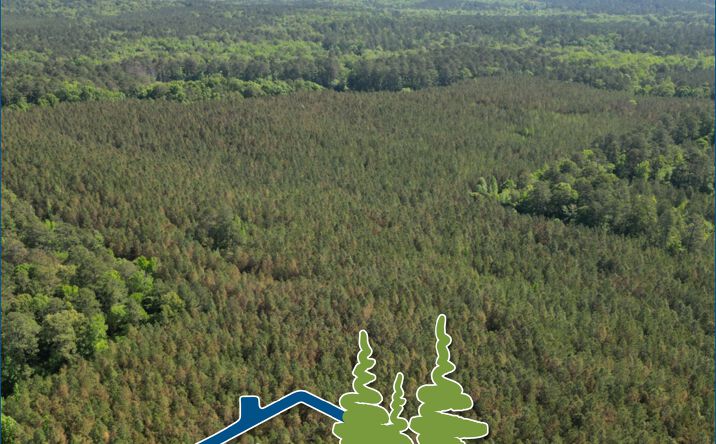 Pictures of Land property located at Choctaw Lake Road area, US Forestry Road #968-2, Ackerman, MS 39735 for sales - image #1
